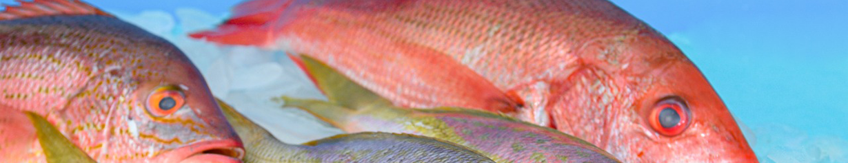 Pargo Rojo Entero